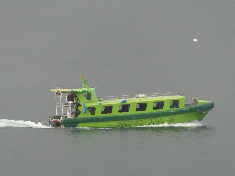 P1000344.JPG