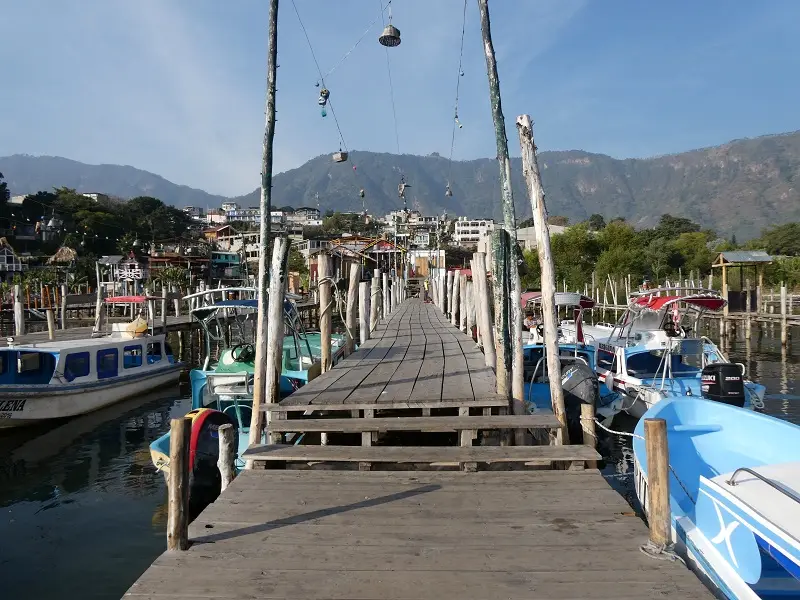 P1000353.JPG
