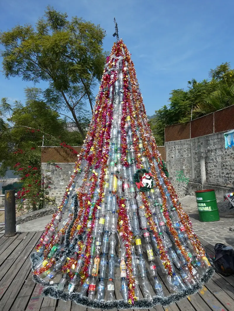 P1000369-2.JPG