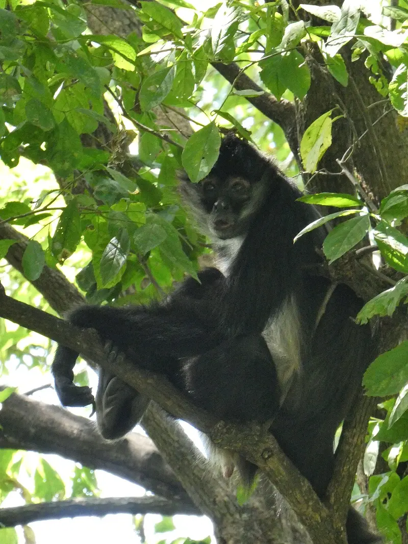 P1000376.JPG