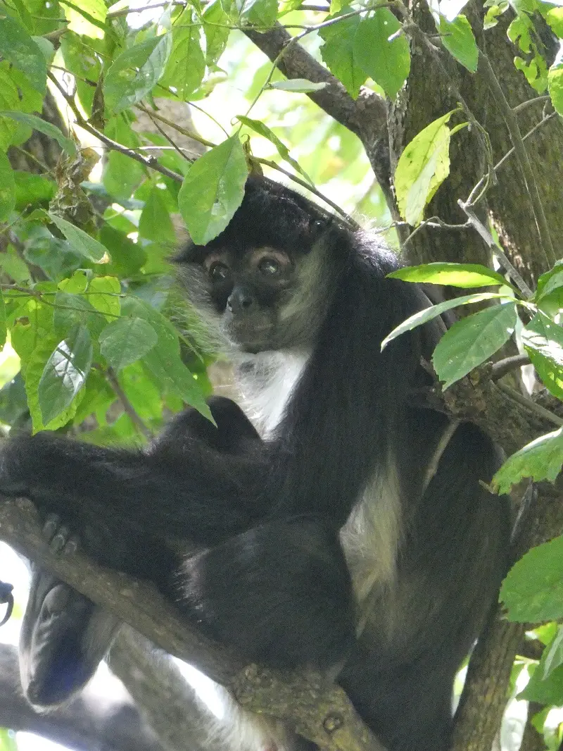 P1000378.JPG