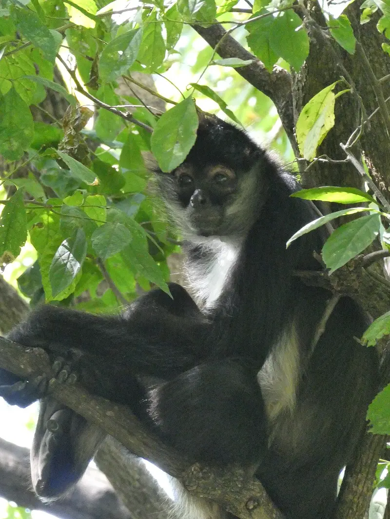 P1000379.JPG