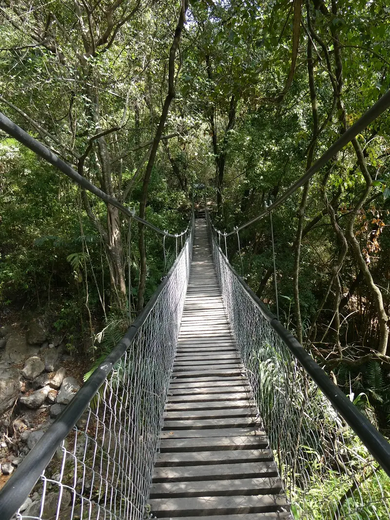 P1000401.JPG