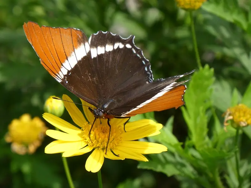 P1000427.JPG