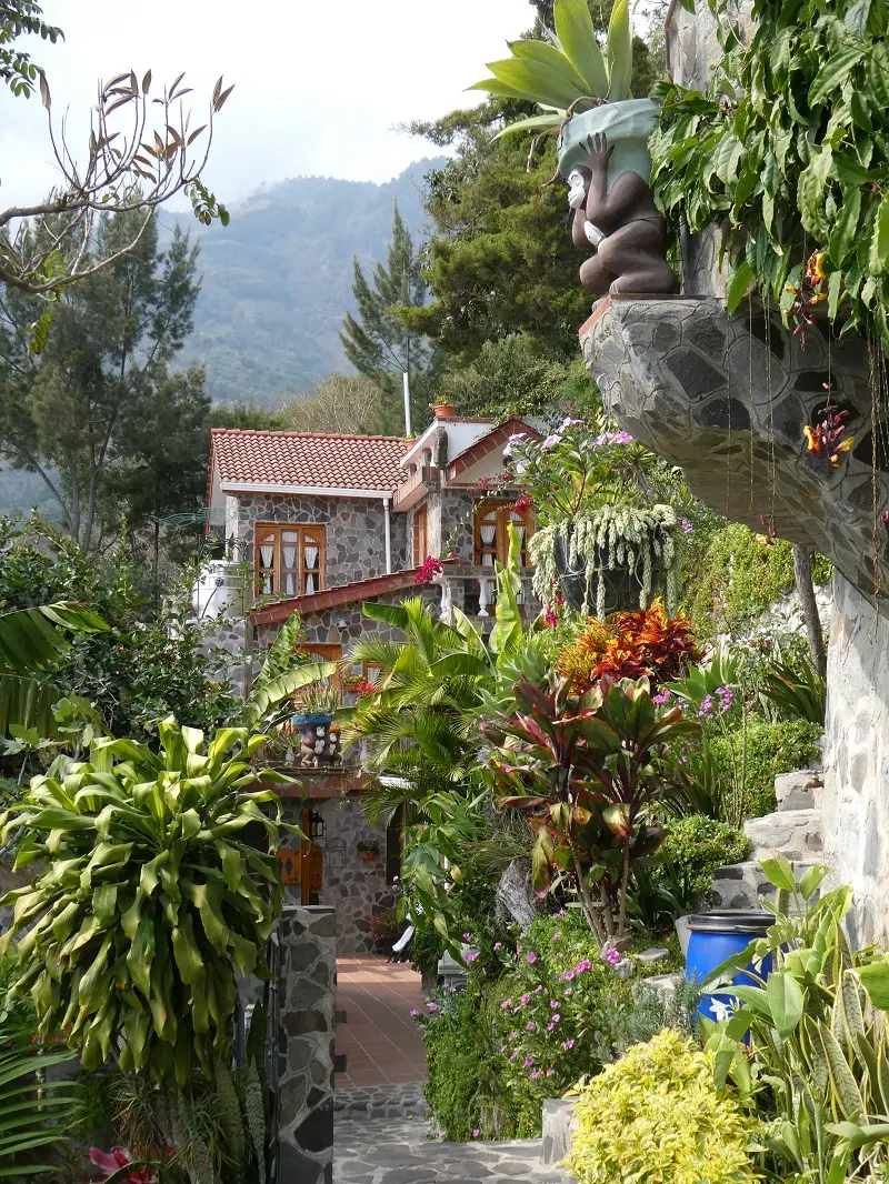 P1000454.JPG