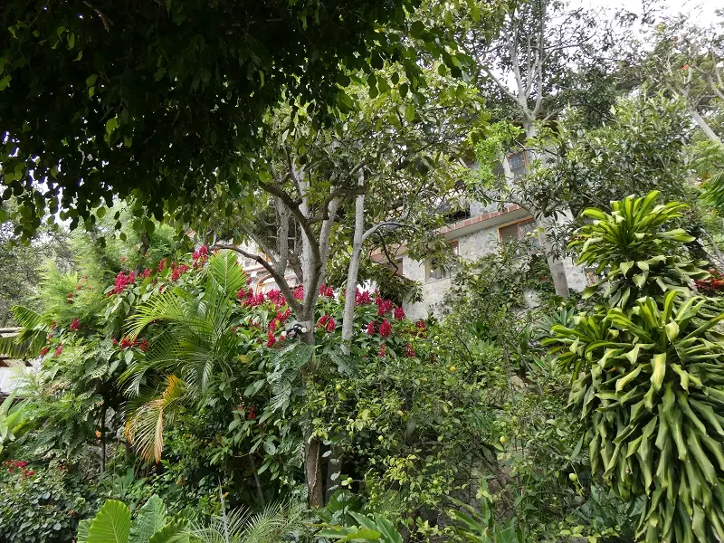 P1000464.JPG