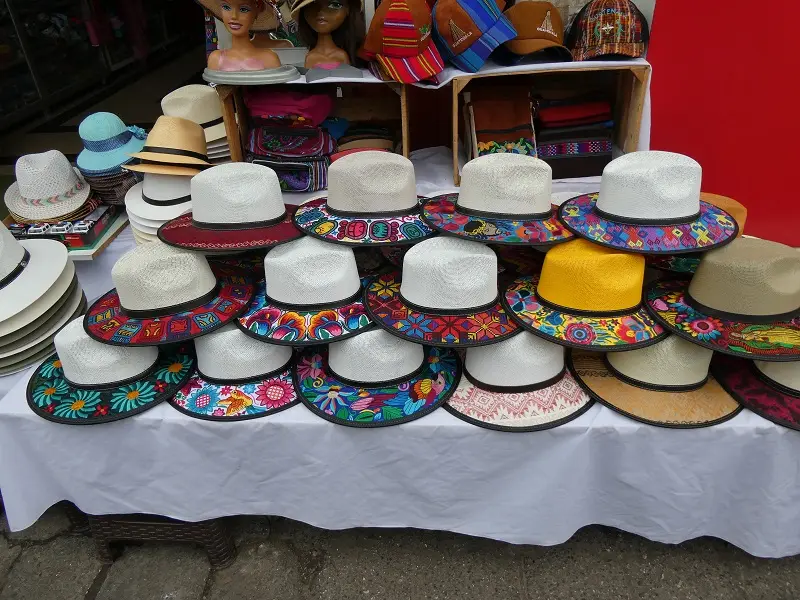 P1000496.JPG