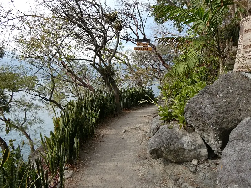P1000521.JPG