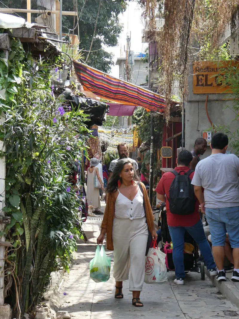 P1000556.JPG