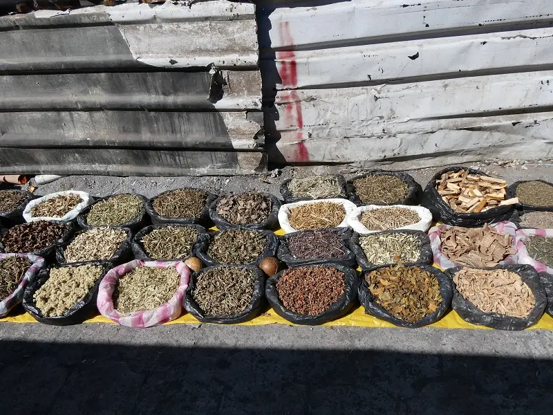 P1000620.JPG