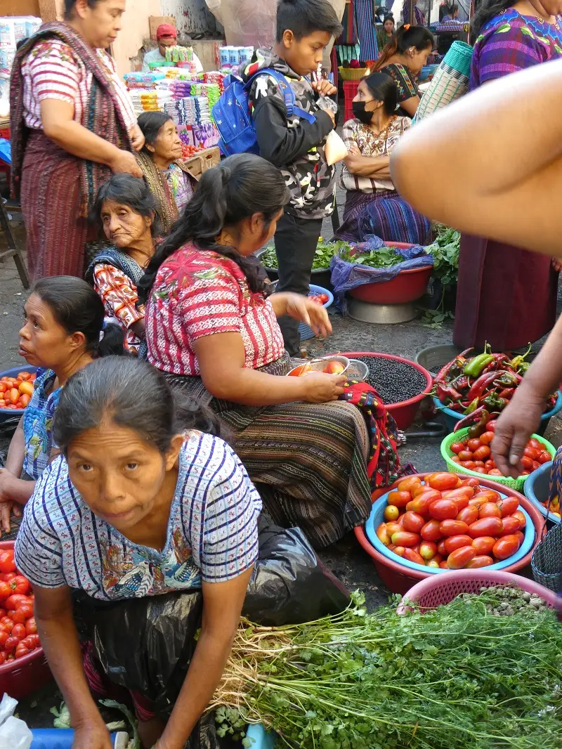 P1000637.JPG