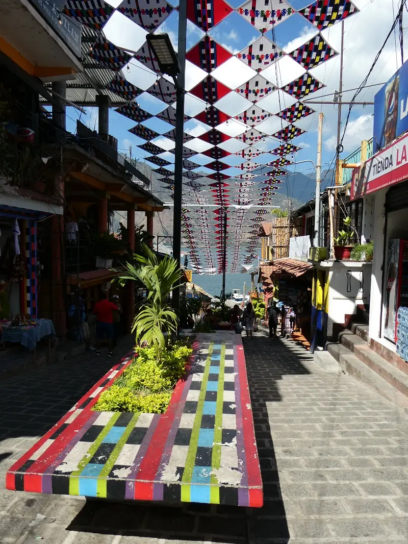 P1000653.JPG