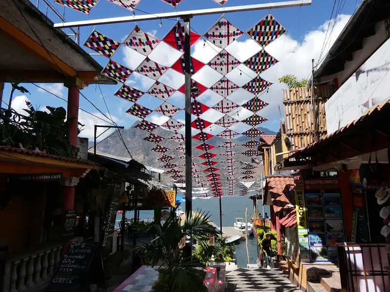 P1000655.JPG