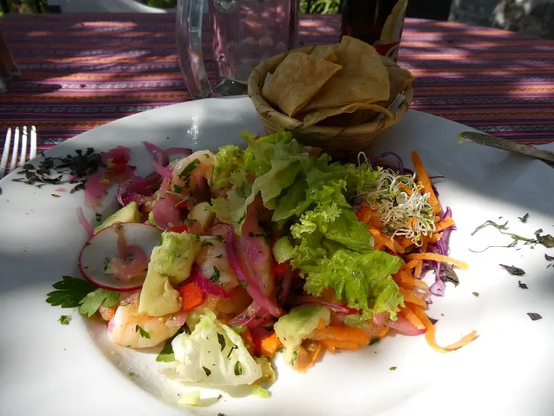 P1000658.JPG