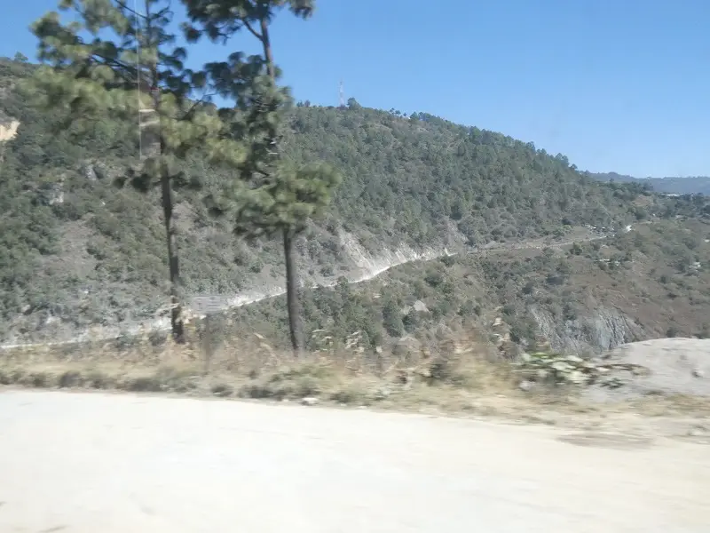 P1000691.JPG