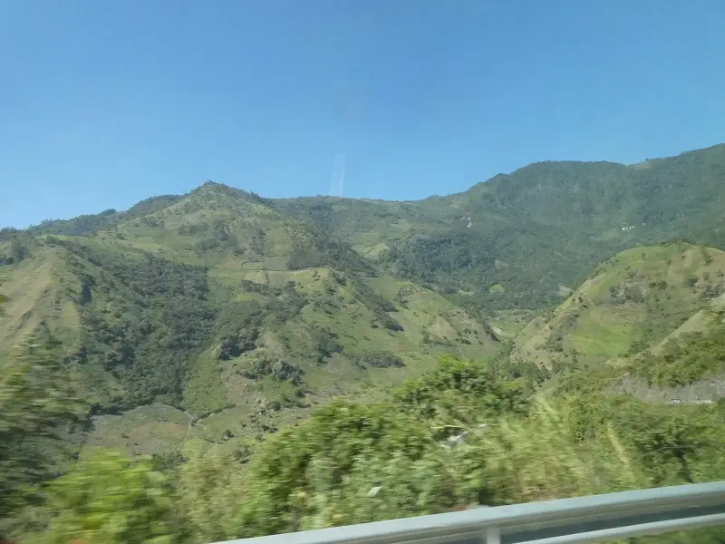 P1000703.JPG