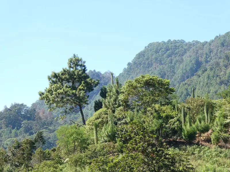 P1000704.JPG