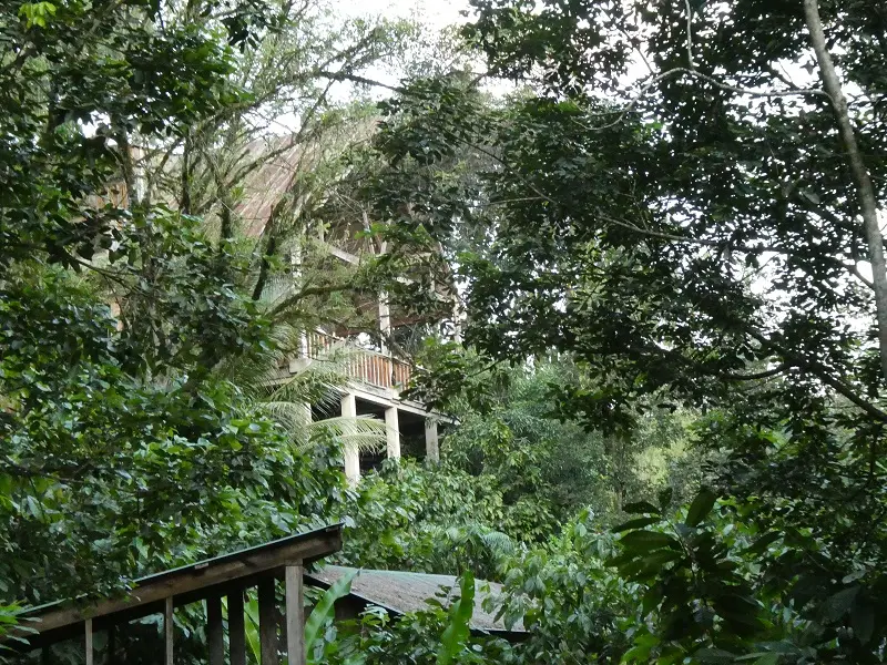 P1000728.JPG