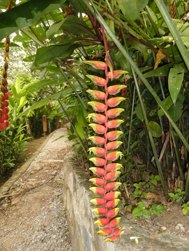 P1000739.JPG