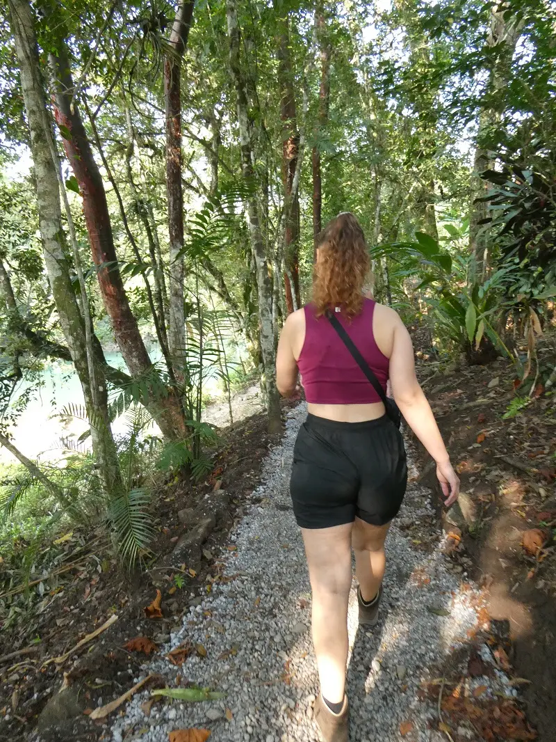 P1000741.JPG