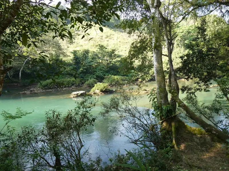 P1000742.JPG