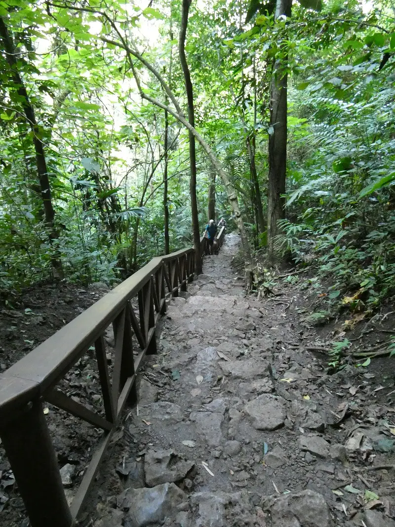 P1000760.JPG