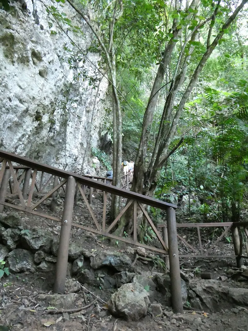 P1000761.JPG