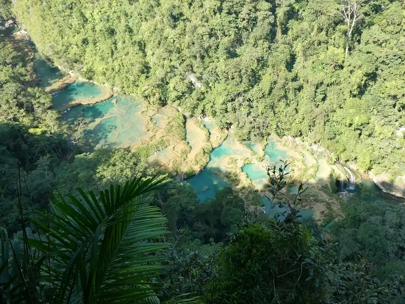 P1000768.JPG
