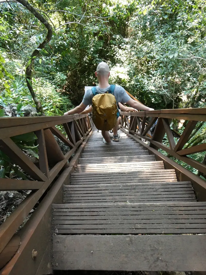 P1000774.JPG