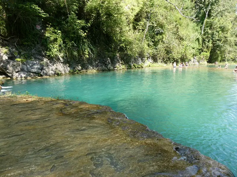 P1000790.JPG