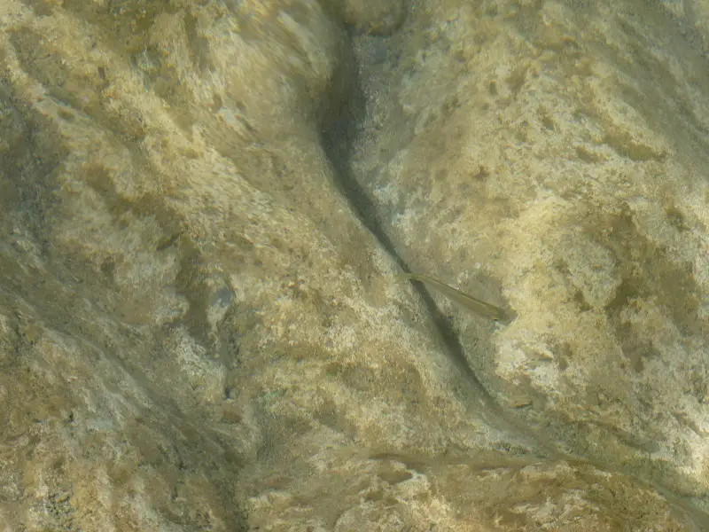 P1000797.JPG