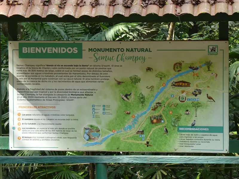 P1000805.JPG
