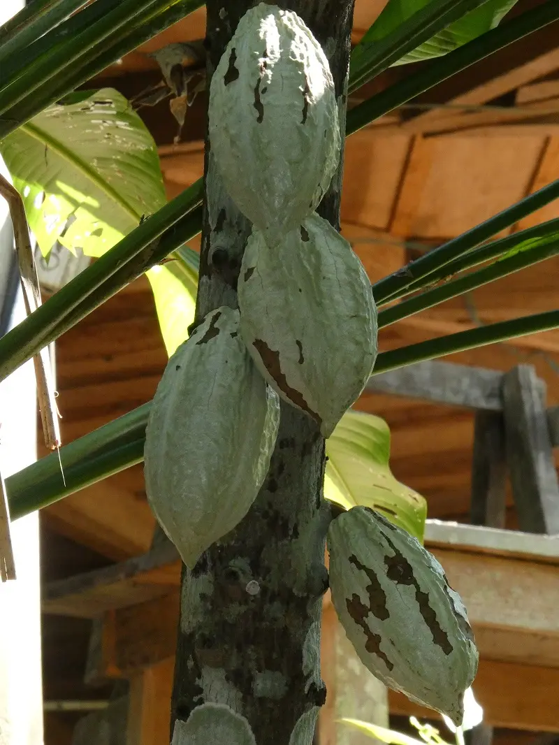 P1000821.JPG