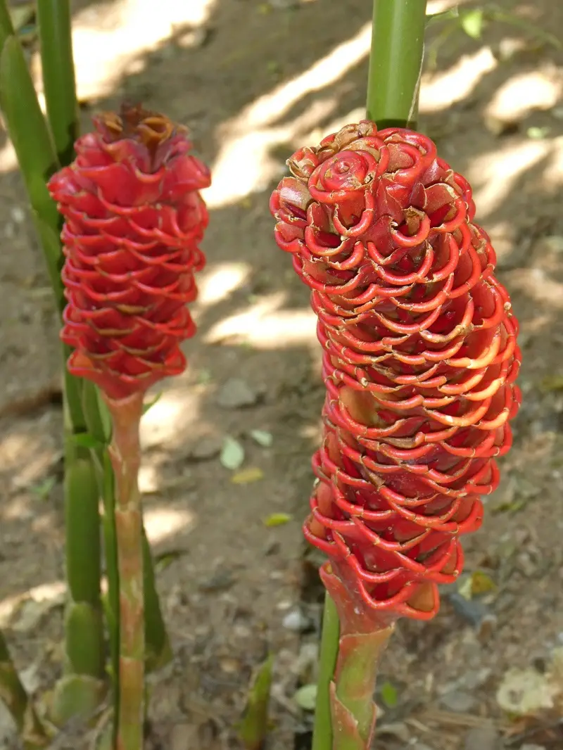 P1000823.JPG