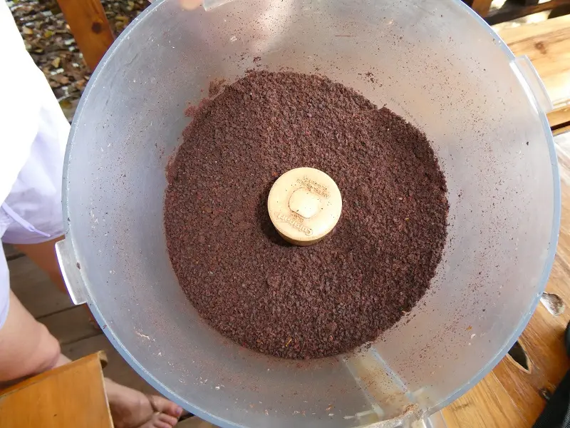 P1000831.JPG