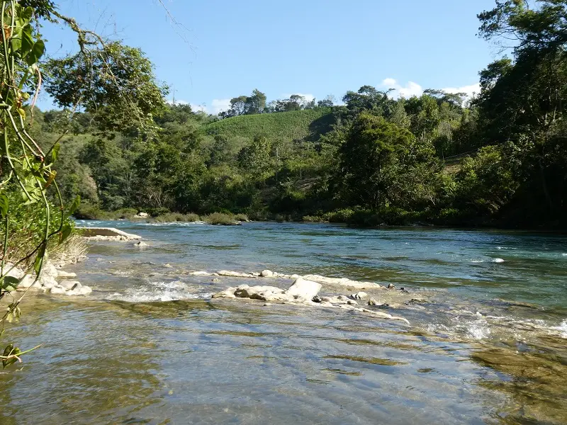 P1000836.JPG