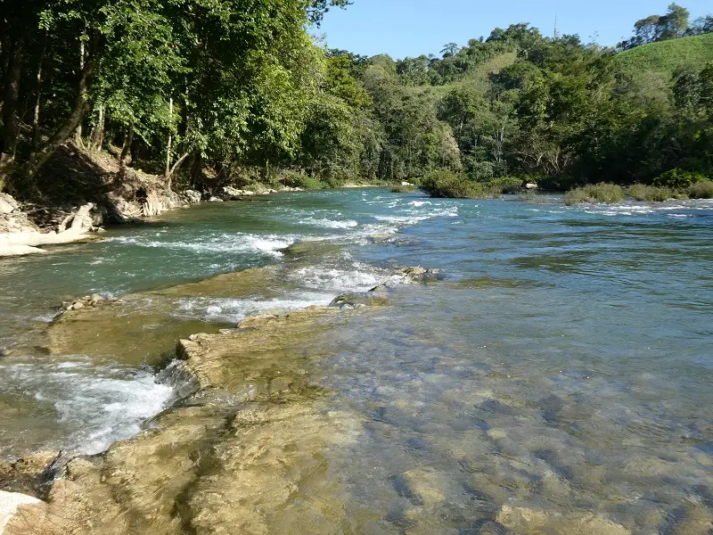 P1000845.JPG