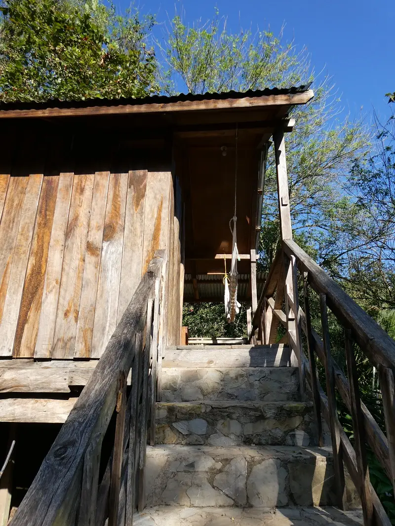 P1000846.JPG