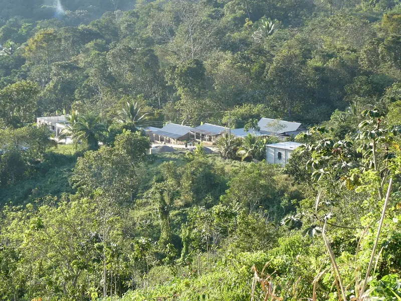 P1000851.JPG