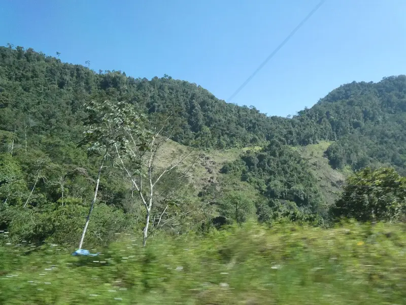 P1000871.JPG