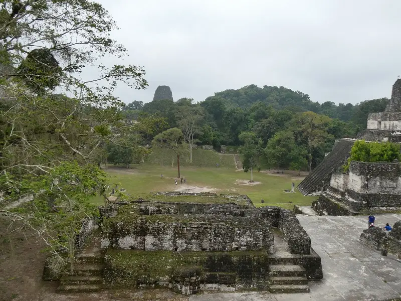 P1000973.JPG