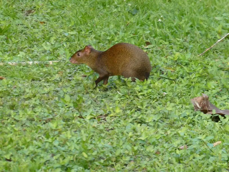 P1001165.JPG