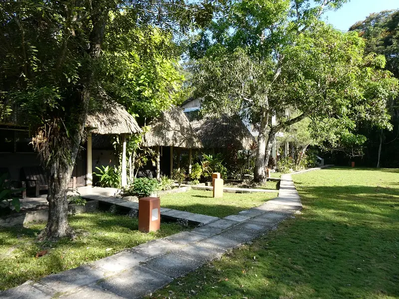 P1001173.JPG