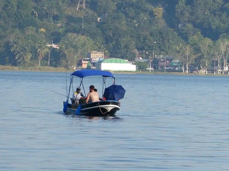 P1001210.JPG