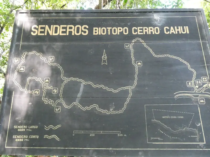 P1001236.JPG