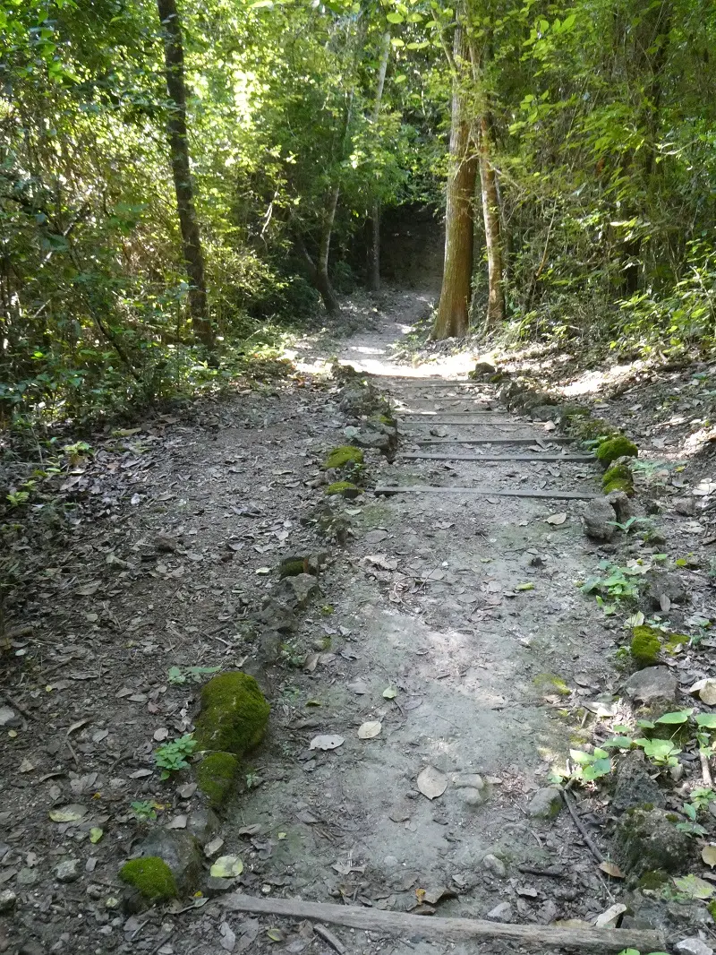 P1001238.JPG