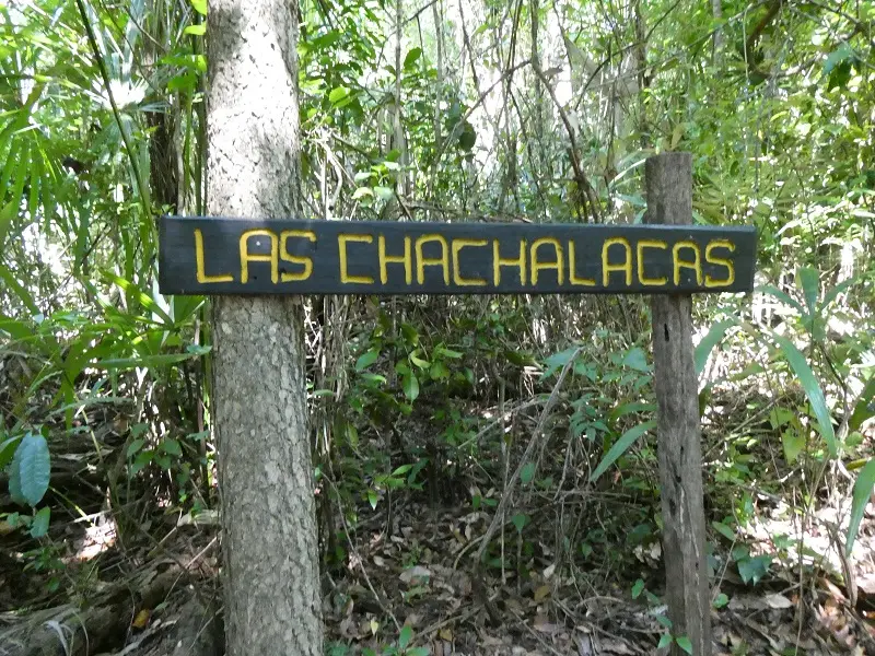 P1001242.JPG