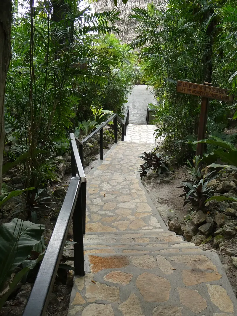 P1001265.JPG