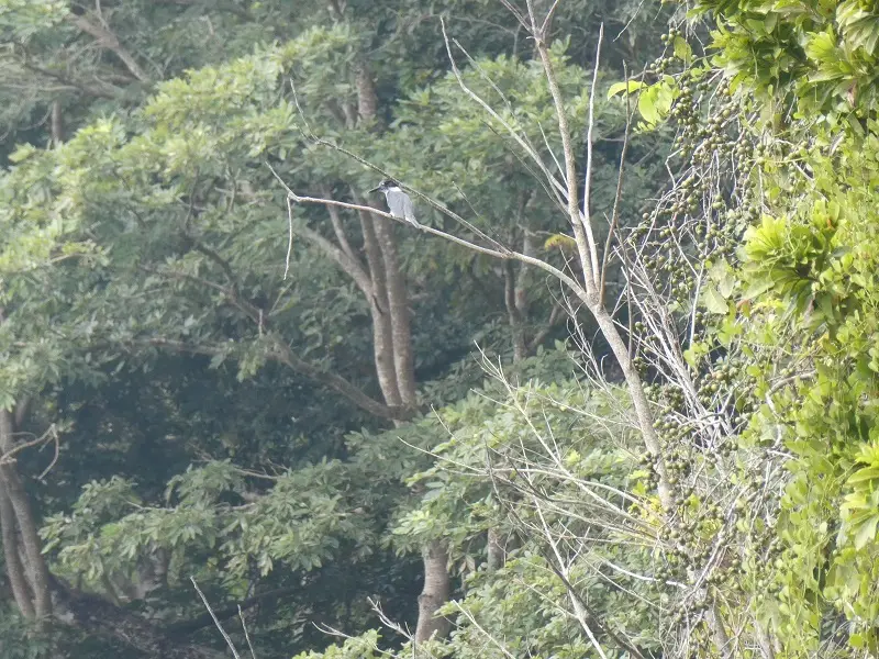 P1001266.JPG