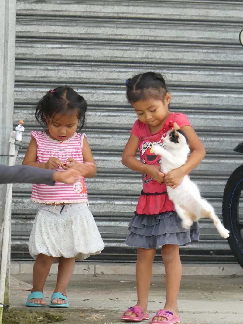 P1001290.JPG